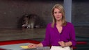 Catherine Vogel steht im Markt-Studio. Im Hintergrund ist das Bild einer Ratte zu sehen.