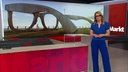 Catherine Vogel steht im Markt-Studio. Sie trägt sogenannte Smart Glasses. Im Hintergrund sieht man das Bild einer Brillenstatur aus Stein.