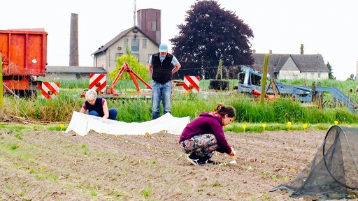 Zwei Frauen hocken auf dem Mietgarten-Feld in Dortmund, hinter ihnen steht ein Mann.