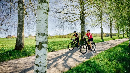 Zwei Radfahrer fahren bei Sonnenschein durch eine Allee