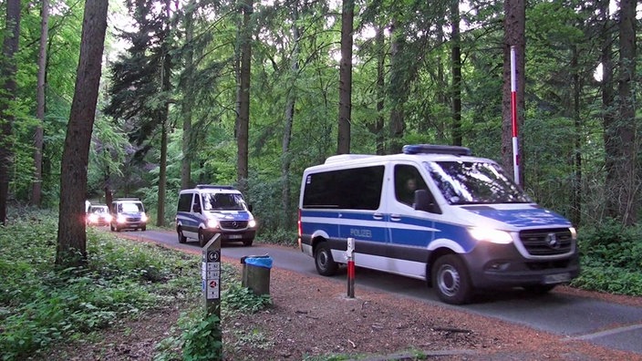 Polizeikolonne im Wald.