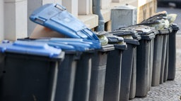 Eine Reihe überfüllter Mülltonnen | Bildquelle: WDR/dpa/Jan Woitas Eine Reihe überfüllter Mülltonnen