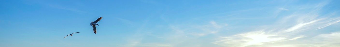 Logo Wetter